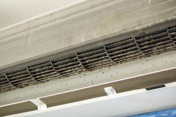 Best Residential Air Duct Cleaning  in Stagecoach, NV